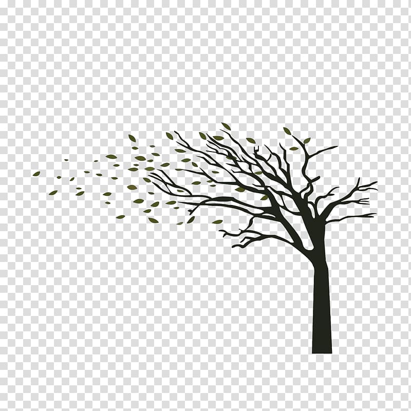 bare tree illustration, Tree Wind Branch Wall decal, The wind blew the leaves transparent background PNG clipart