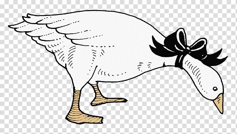 Domestic goose Cygnini Duck White, Creative hand-painted big white goose transparent background PNG clipart