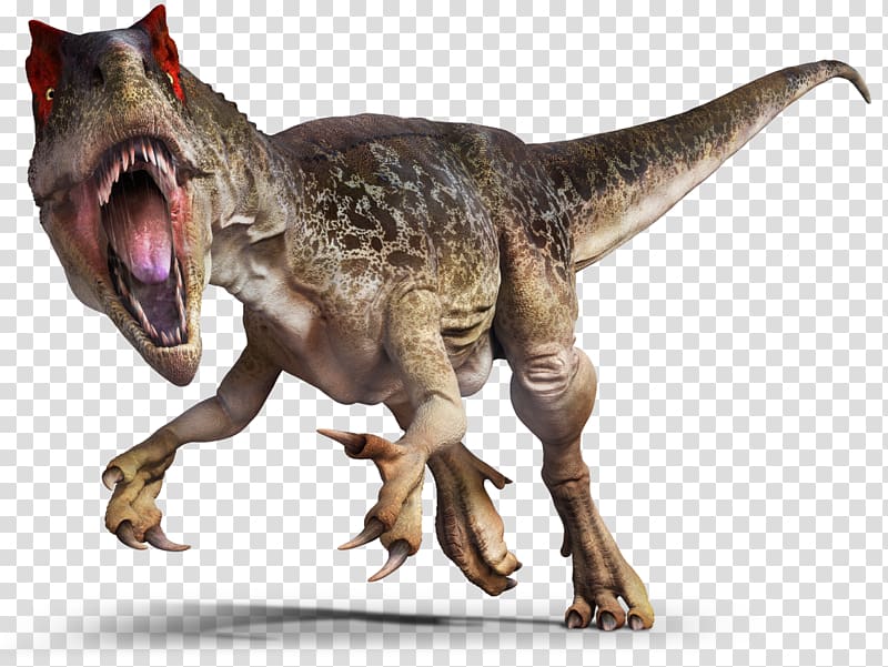 Allosaurus Saurophaganax Tyrannosaurus Theropods Torvosaurus, t rex transparent background PNG clipart