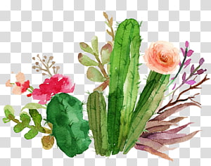 green cactus design 19040254 PNG