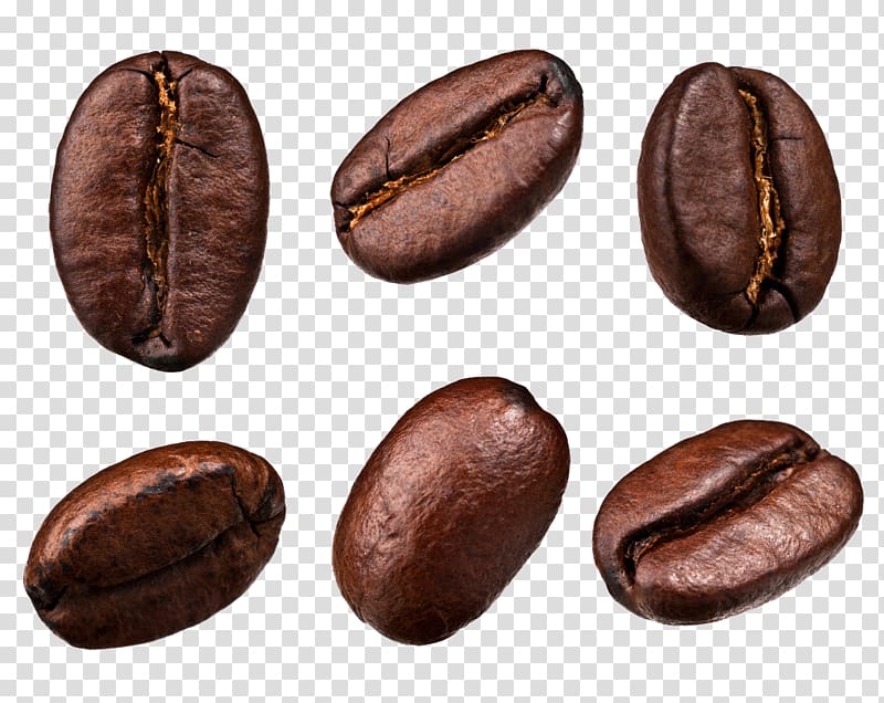 six coffee beans, Coffee bean Tea Cafe, Cocoa beans transparent background PNG clipart