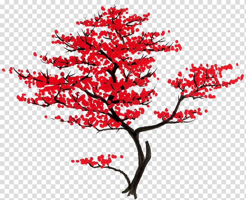 Tree Japanese maple Acer shirasawanum Branch Woody plant, Japan transparent background PNG clipart
