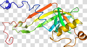 Line Point Organism , line transparent background PNG clipart thumbnail