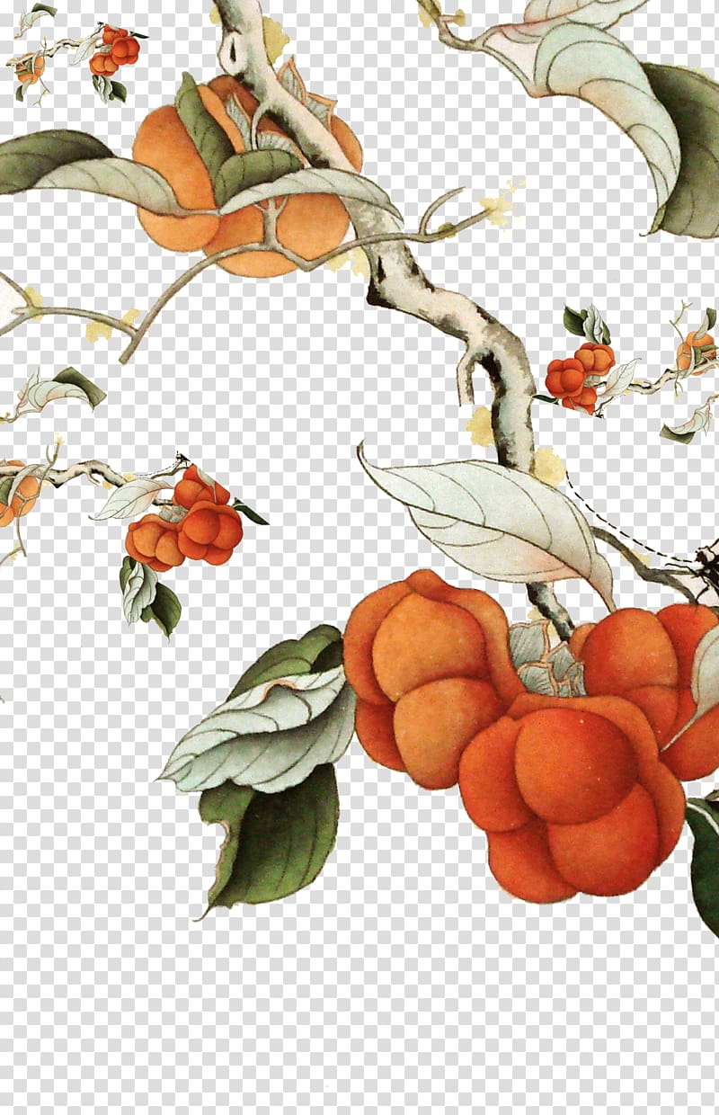 Persimmon Marriage Ink wash painting, Painting persimmon tree transparent background PNG clipart