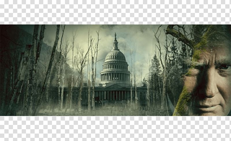 Washington, D.C. Drain the swamp Politics The Washington Post, Politics transparent background PNG clipart