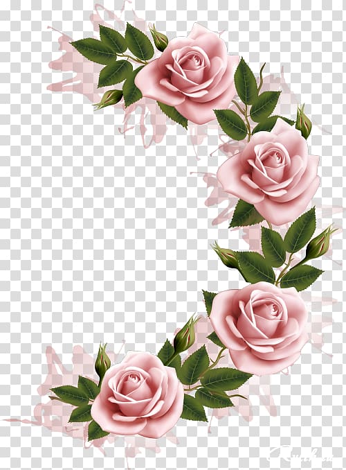Flower Watercolor painting, attractive rose transparent background PNG clipart