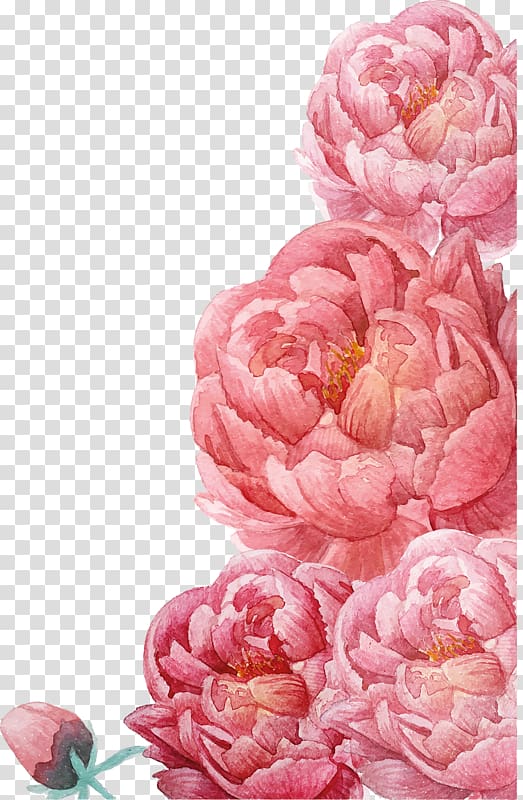 pink watercolor flowers transparent background PNG clipart