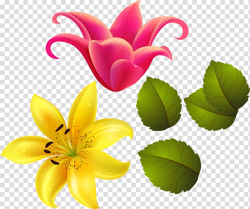 Flower Lilium Gift Floral design Petal, gulou transparent background PNG clipart
