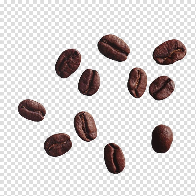 scattered coffee beans transparent background PNG clipart