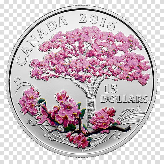 Canada Silver coin Cherry blossom Silver coin, mint flowers transparent background PNG clipart