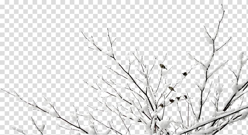 Google s, Free snow hanging tree branch to pull the material Sparrow transparent background PNG clipart