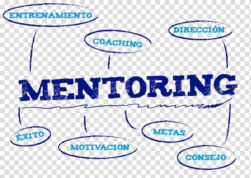 Digital marketing Organization Mentorship Empresa, mentorship transparent background PNG clipart