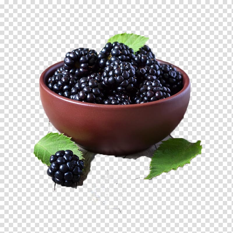 bowl of black berries, Juice Frutti di bosco Blackberry Cheesecake Muffin, HD Free blackberry buckle mulberries transparent background PNG clipart