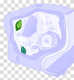 Organism Font, design transparent background PNG clipart thumbnail
