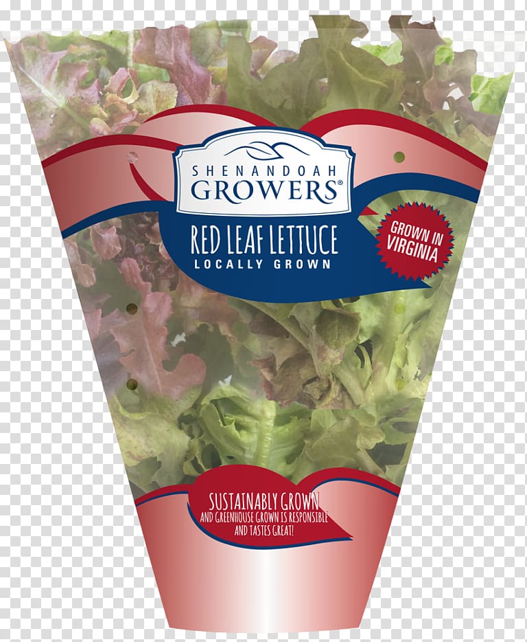 Leaf vegetable Leaf lettuce Crisp Salad Shenandoah Growers Inc., salad transparent background PNG clipart