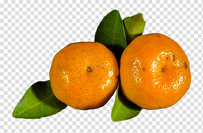 Orange juice Clementine Blood orange Mandarin orange, Orange Oranges transparent background PNG clipart