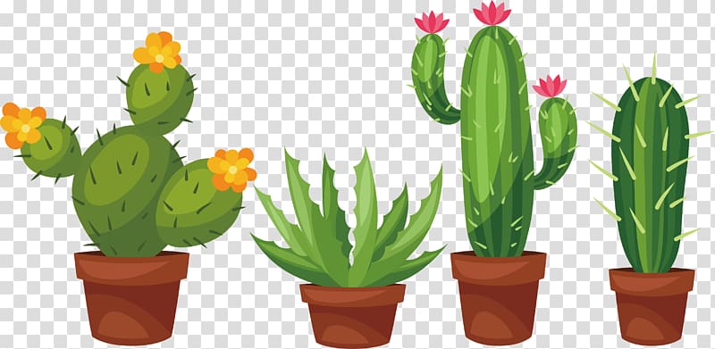 four cactus plants template, Succulent plant Cactaceae Prickly pear , Hand-painted palm potted cactus transparent background PNG clipart