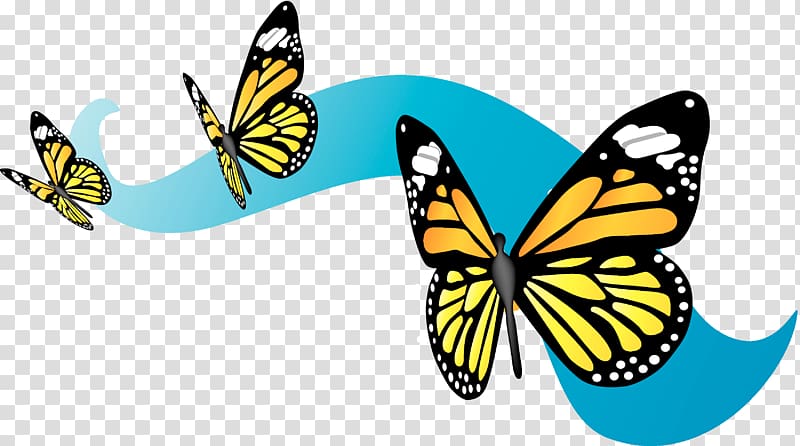 Monarch butterfly migration , butterfly transparent background PNG clipart