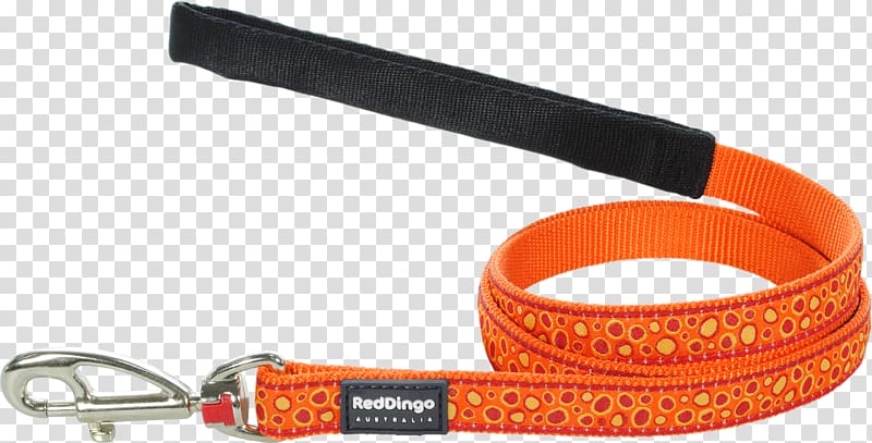 Leash Dog Dingo Trendyol group Orange, Dog transparent background PNG clipart