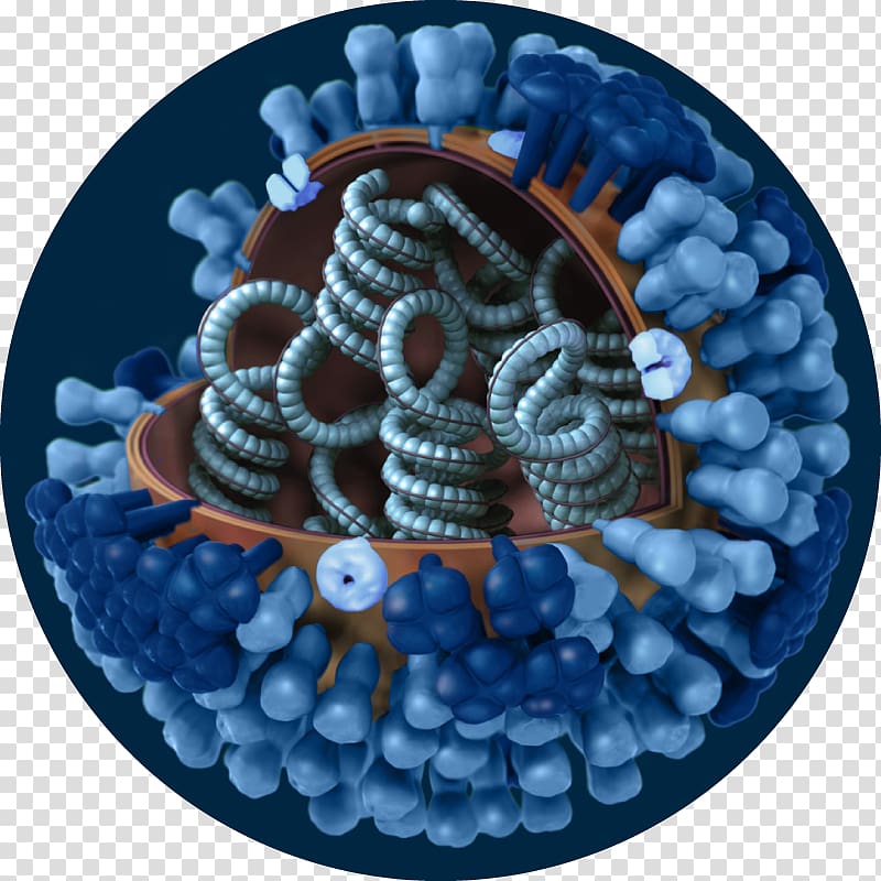 2009 flu pandemic Influenza A virus subtype H1N1 Influenza A virus subtype H3N2 Swine influenza, others transparent background PNG clipart