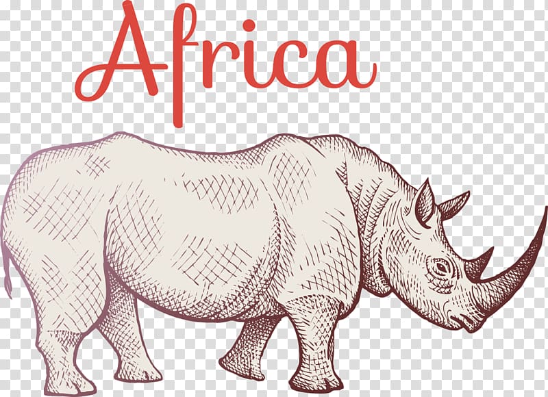 Rhinoceros Giraffe Hippopotamus African elephant, cartoon rhino transparent background PNG clipart