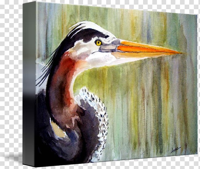 Watercolor painting Beak Bird Pelecaniformes, painting transparent background PNG clipart