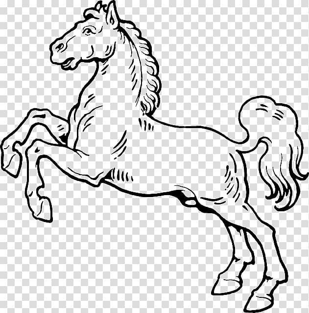 Mustang Drawing Horse hoof , vas transparent background PNG clipart