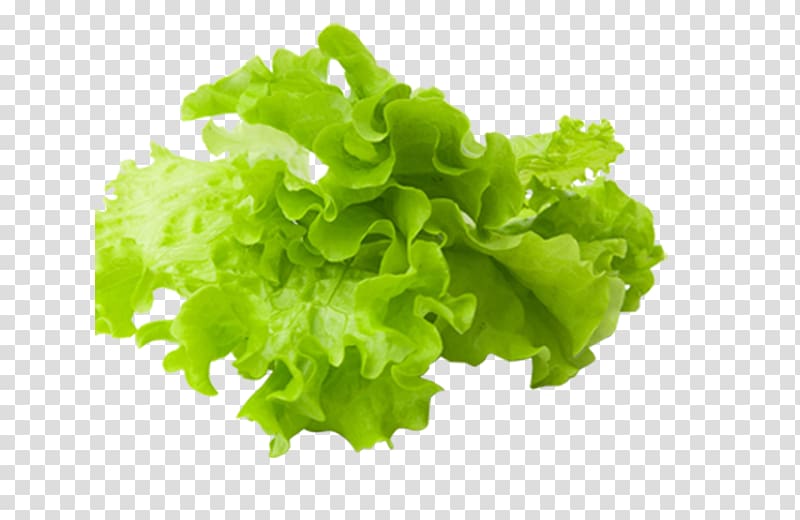 Vegetable Food Salad, vegetable transparent background PNG clipart