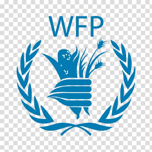 United Nations Office at Nairobi World Food Programme Organization Logo, Ngos transparent background PNG clipart