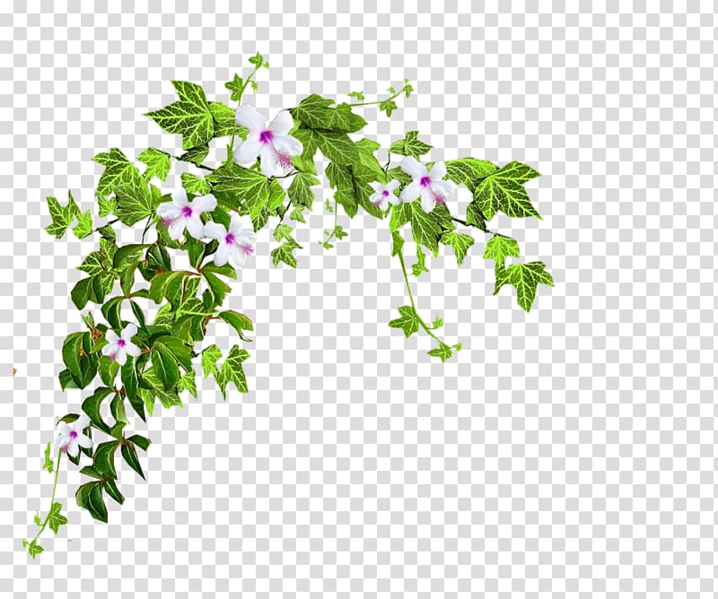 Shrub Tree Animation , plant transparent background PNG clipart