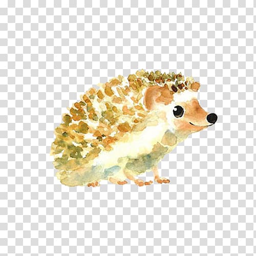Hedgehog Drawing Art Painting Illustration, Lovely watercolor hedgehog transparent background PNG clipart