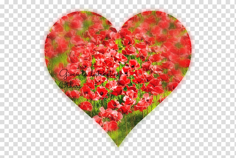 Child Garden roses Blood Swept Lands and Seas of Red Air Purifiers Parent, red poppy transparent background PNG clipart