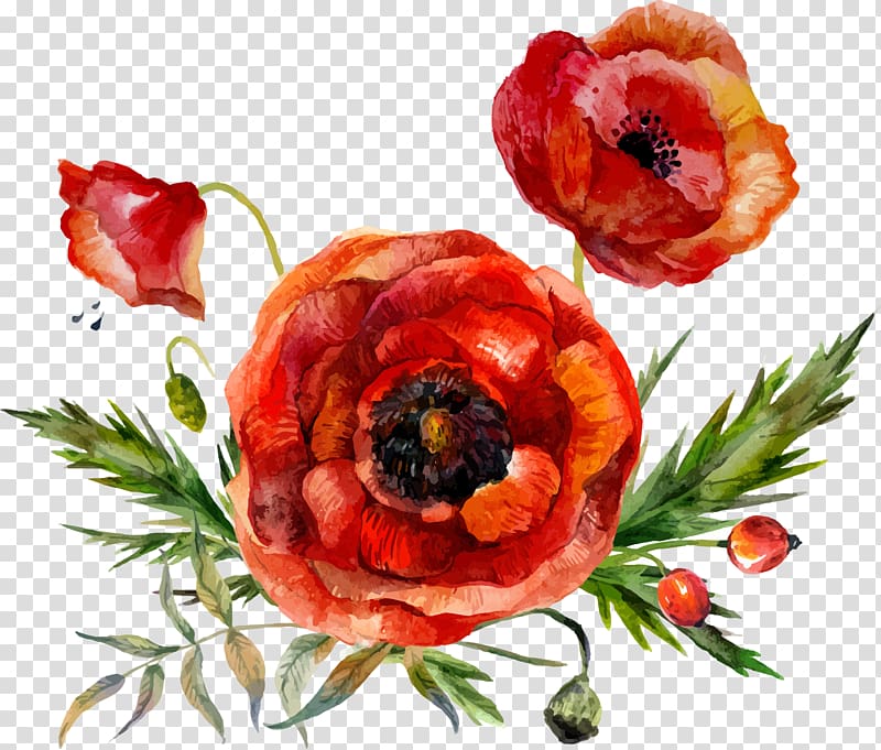 three orange flowers illustration, Flower Poppy Watercolor painting, watercolor flower leaf decoration transparent background PNG clipart