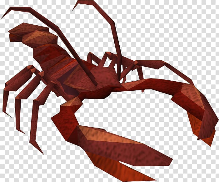 Insect Scorpion Invertebrate Decapoda, lobster transparent background PNG clipart