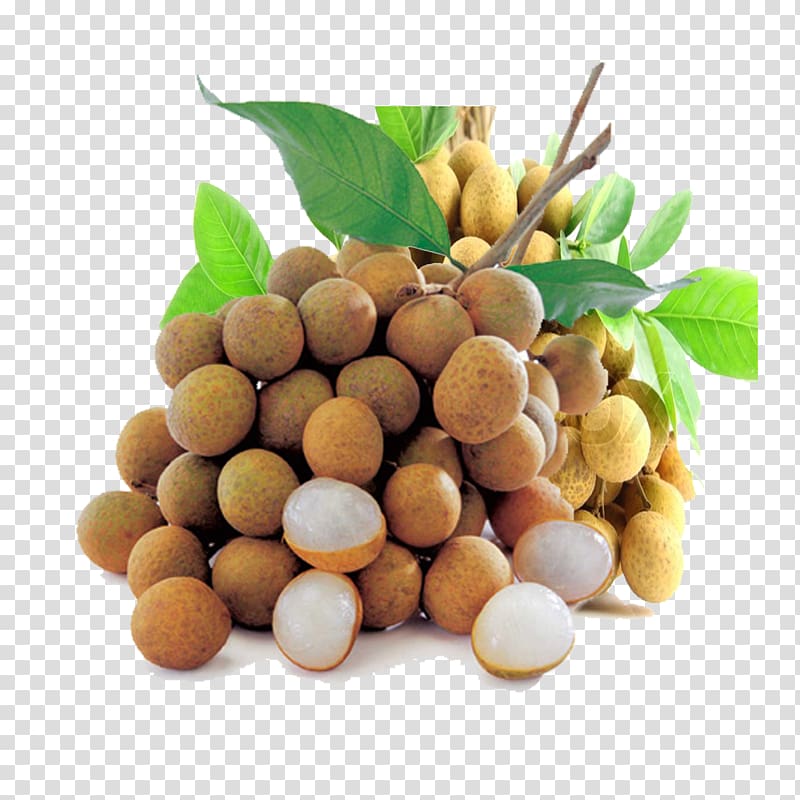 round brown fruits, Thai cuisine Indonesian cuisine Longan Fruit Rambutan, natural transparent background PNG clipart