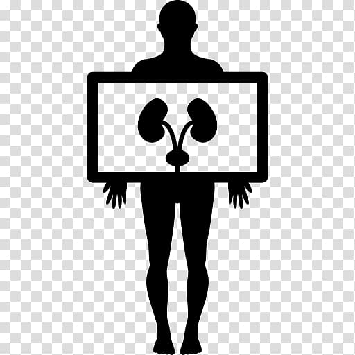 X-ray Digital radiography Human body Radiology, others transparent background PNG clipart