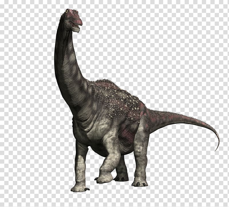 Diamantinasaurus Dinosaur size Tyrannosaurus Compsognathus Brachiosaurus, dinosaur transparent background PNG clipart