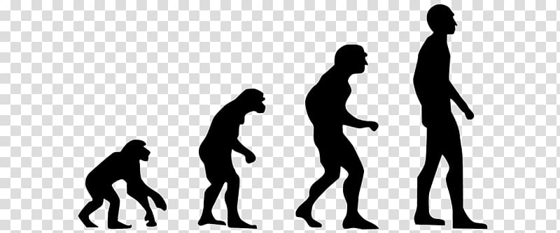 Homo sapiens Evolution 2.0: Breaking the Deadlock Between Darwin and Design Human evolution Technological revolution, evolution transparent background PNG clipart
