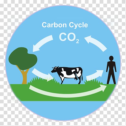 Carbon cycle Carbon dioxide Biogeochemical cycle synthesis, water transparent background PNG clipart