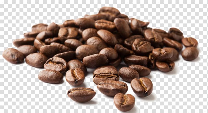 Iced coffee Cafe Coffee bean Arabica coffee, Coffee transparent background PNG clipart