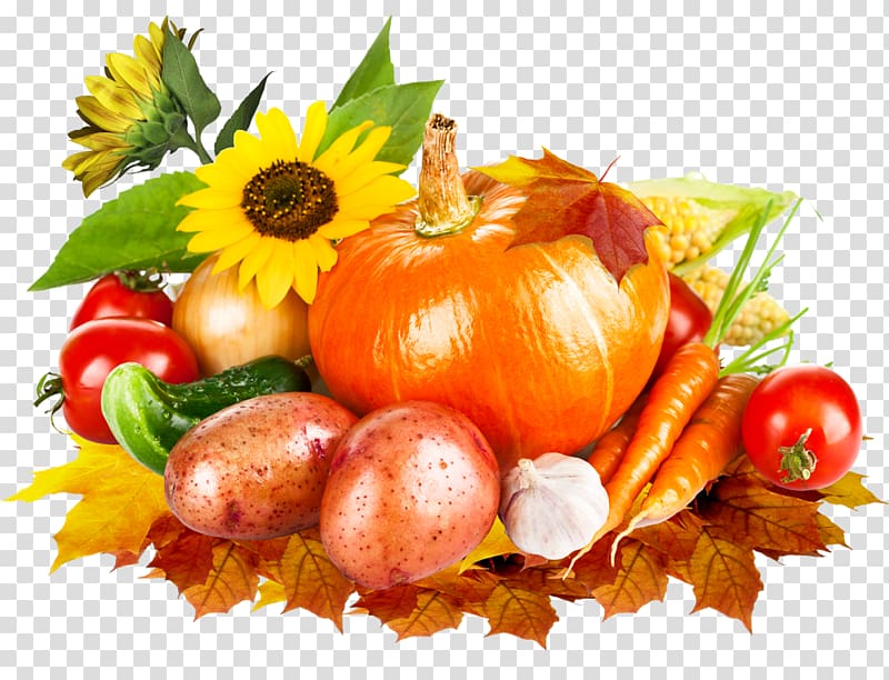 Crop yield Vegetable Harvest Pumpkin , vegetable transparent background PNG clipart