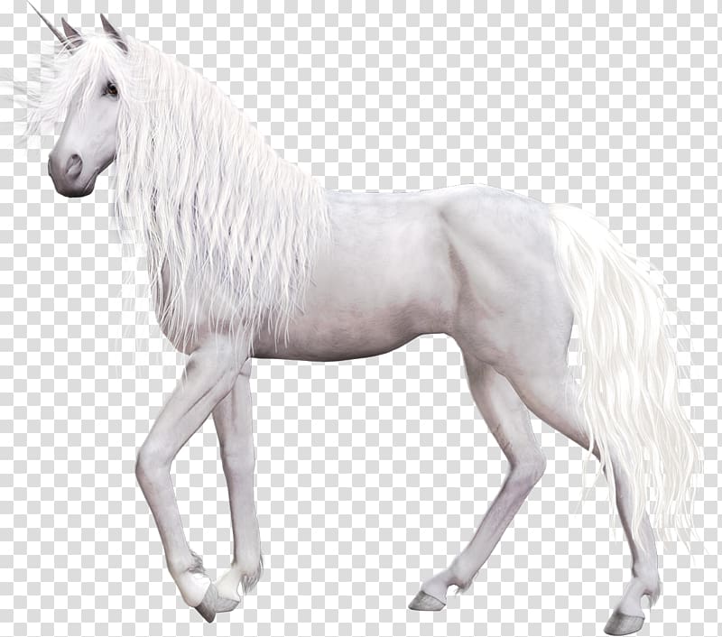 Akhal-Teke Unicorn Pegasus, unicorn transparent background PNG clipart
