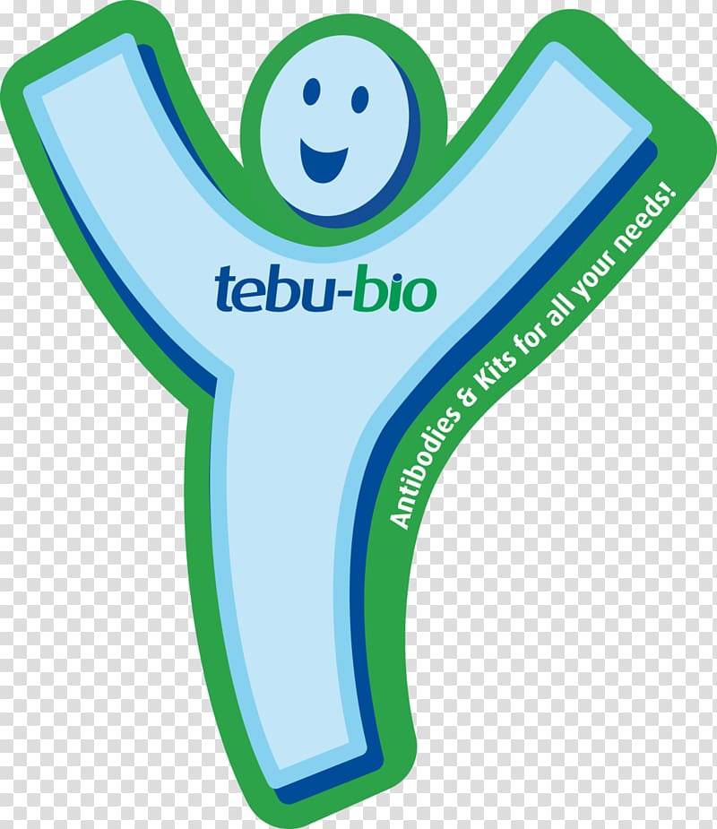 Antibody Immunoglobulin G Immune system Antigen Immunity, antibody transparent background PNG clipart