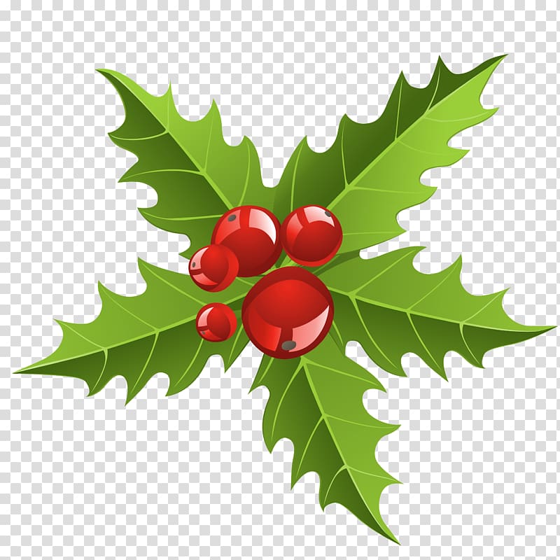 Christmas decoration Mistletoe , Element transparent background PNG clipart