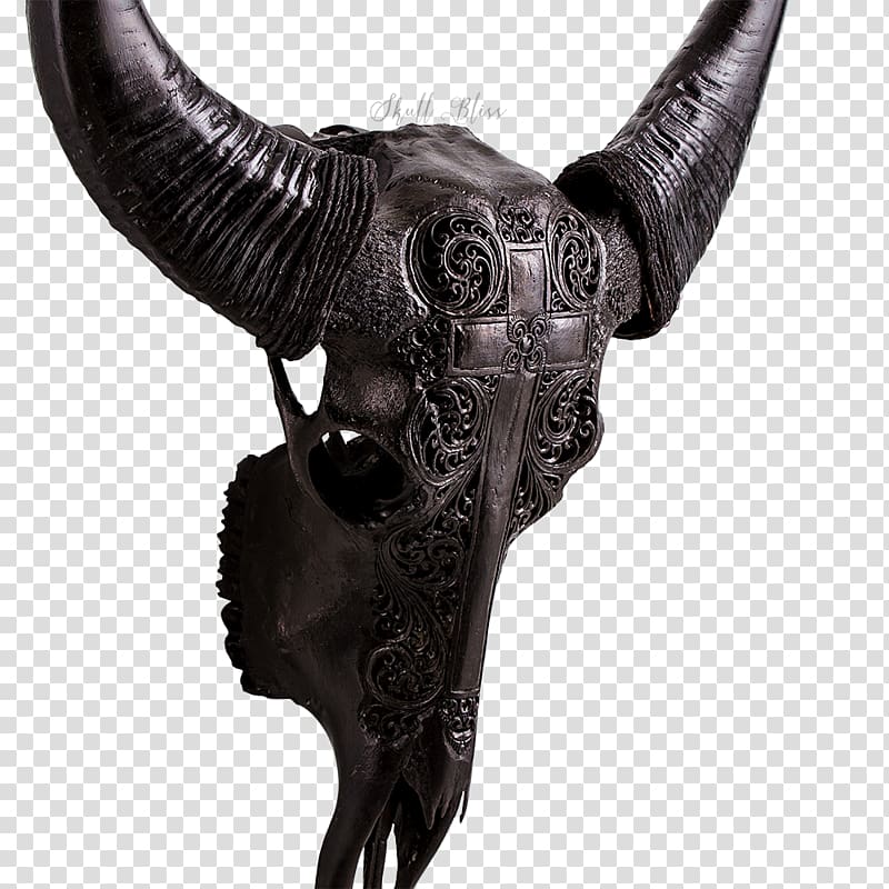 Cattle Horn Animal Skulls Ox Water buffalo, skull transparent background PNG clipart