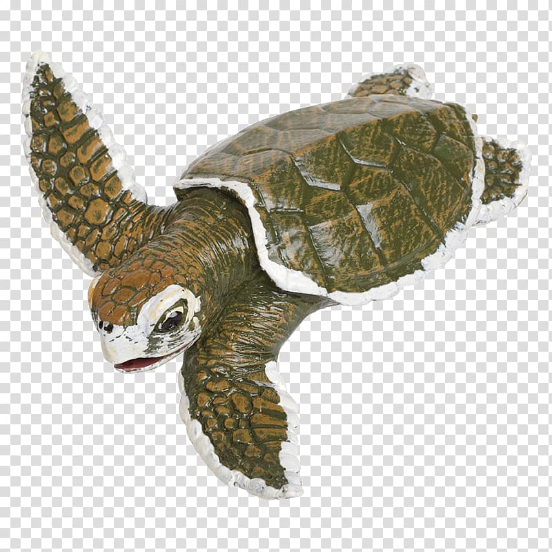 Kemp\'s ridley sea turtle Reptile Protecting Sea Turtles Safari Ltd, turtle transparent background PNG clipart
