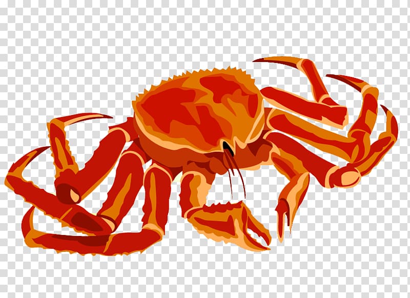 Red king crab Chesapeake blue crab , crab transparent background PNG clipart