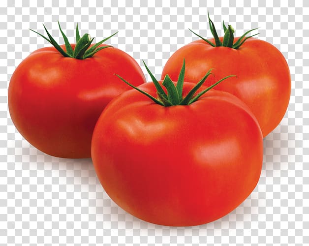 Plum tomato Bush tomato Vegetarian cuisine Food, tomato transparent background PNG clipart