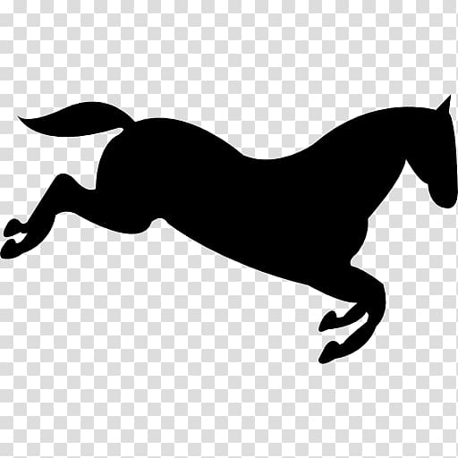 Pony Mane English riding Rein Stallion, mustang transparent background PNG clipart