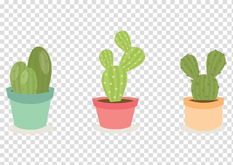 Cactaceae Echinopsis chamaecereus Thorns, spines, and prickles Succulent plant Yucca, others transparent background PNG clipart